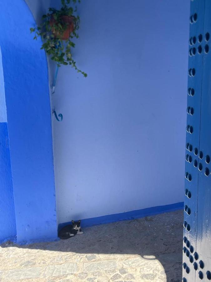 Coco Chawen Villa Chefchaouen Ngoại thất bức ảnh